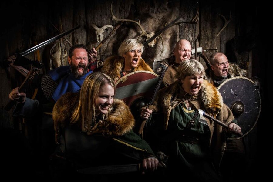 Reykjavik: Private Icelandic Viking Age Walking Tour - What private means here