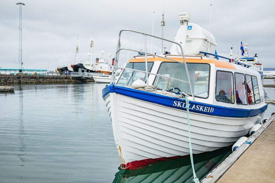 Reykjavik: Puffin Watching Boat Tour - Is one hour enough for the experience?