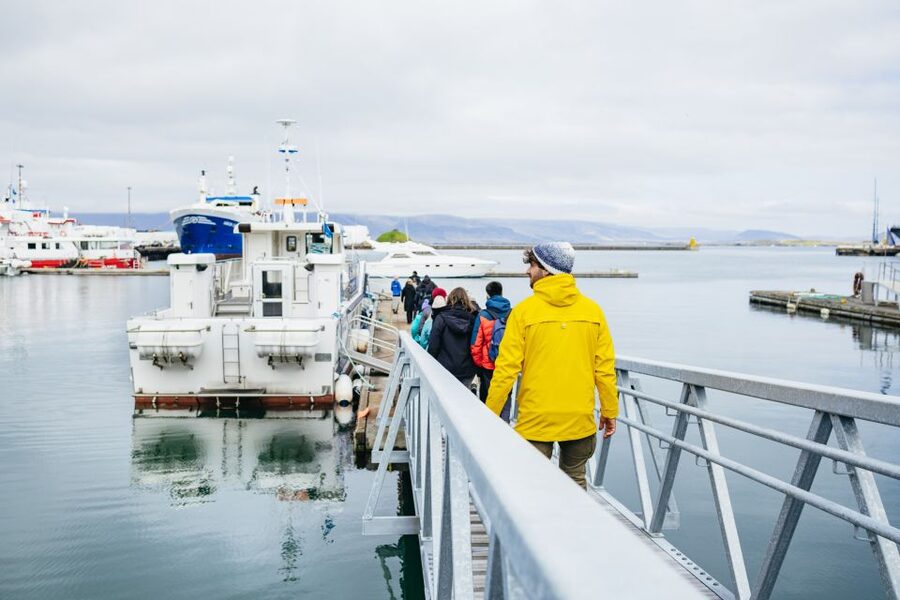 Reykjavik: Puffin Watching Boat Tour - What the $64 price gets you