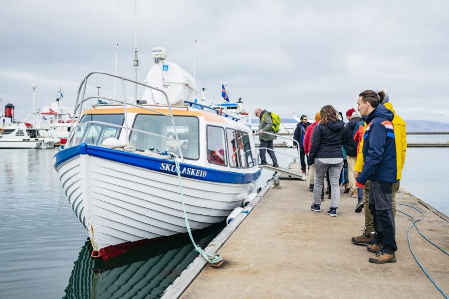Reykjavik: Puffin Watching Boat Tour - Who should book the Puffin Express?