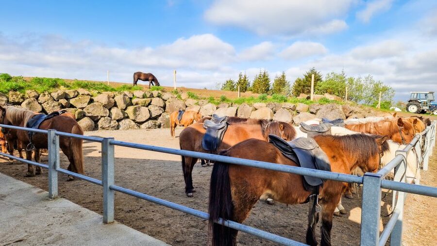 Reykjavik: Red Lava Horse Riding Tour - The photo stop among red lava rocks