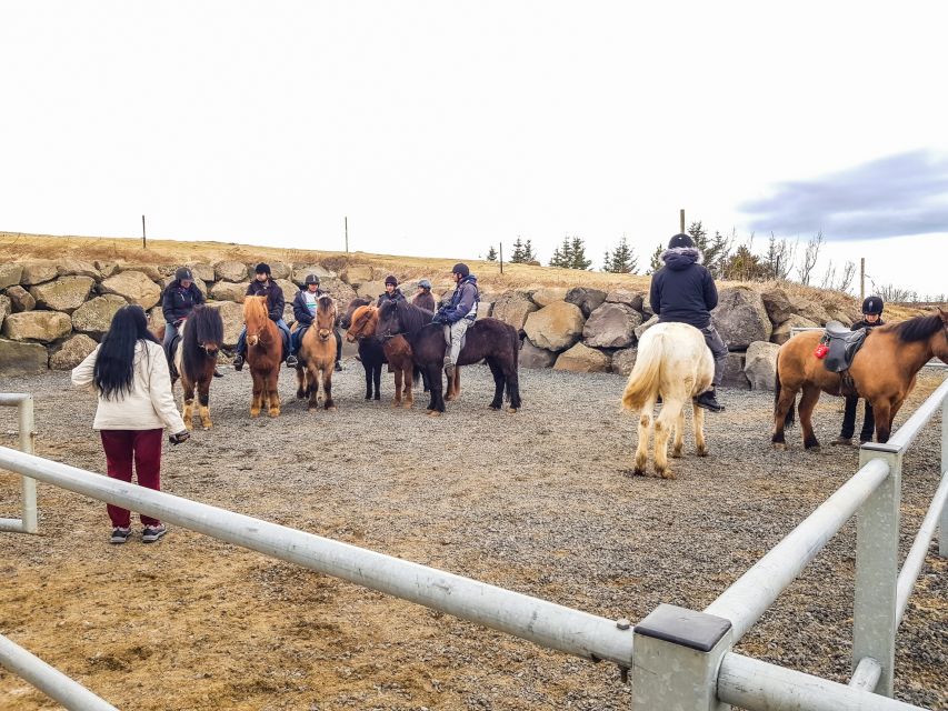 Reykjavik: Red Lava Horse Riding Tour - Pickup from Reykjavik or driving yourself
