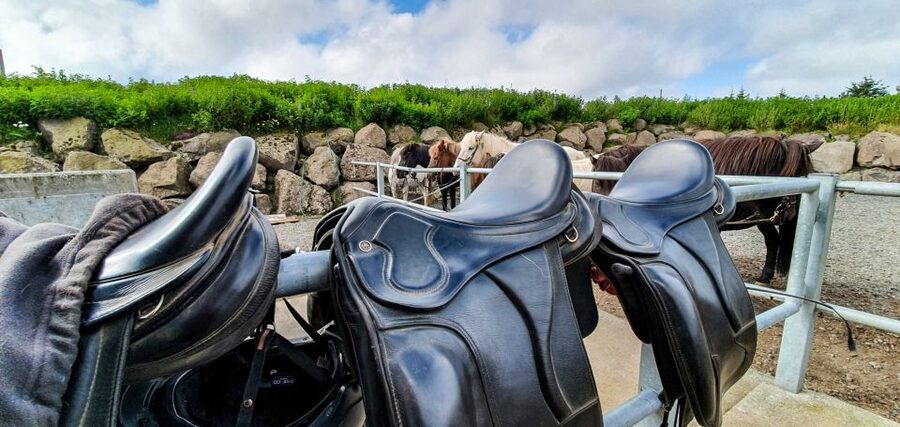Reykjavik: Red Lava Horse Riding Tour - What $142 buys you