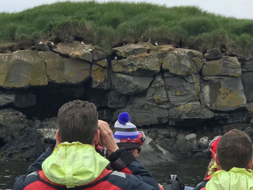 Reykjavík: RIB Speed-Boat Puffin Watching Tour - Is $81 a fair price?