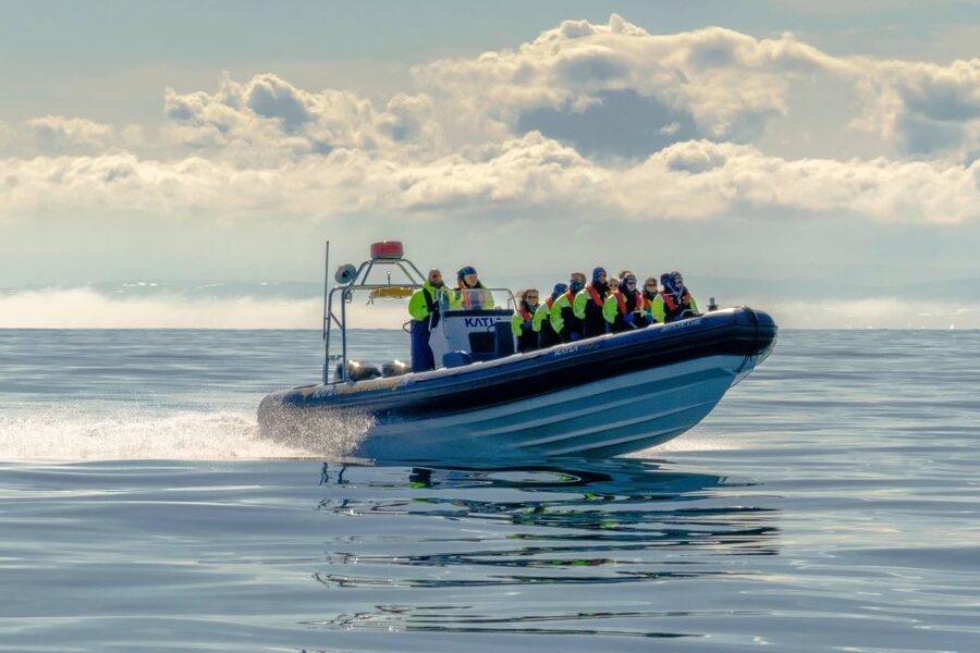 Reykjavík: RIB Speed-Boat Puffin Watching Tour - Who will enjoy this trip most?