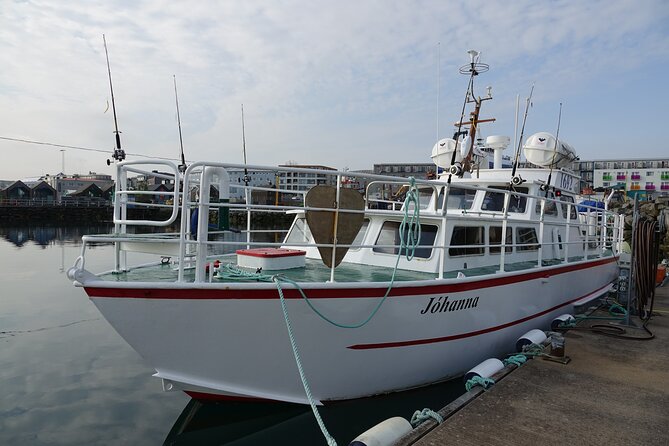Reykjavik's Finest Catch: Guided Sea Angling Tour for All Levels - Timing, weather, and the practical details