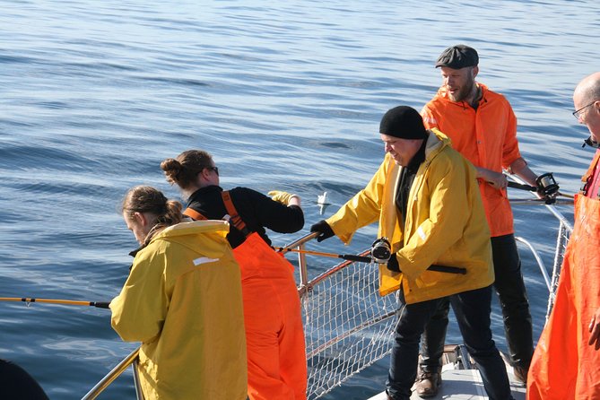 Reykjavik Sea Angling Gourmet - The views beyond the fishing