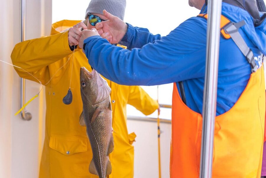 Reykjavik: Sea Fishing Boat Tour & BBQ with the Day's Catch - Fishing Faxaflói Bay from Reykjavik’s Old Harbor