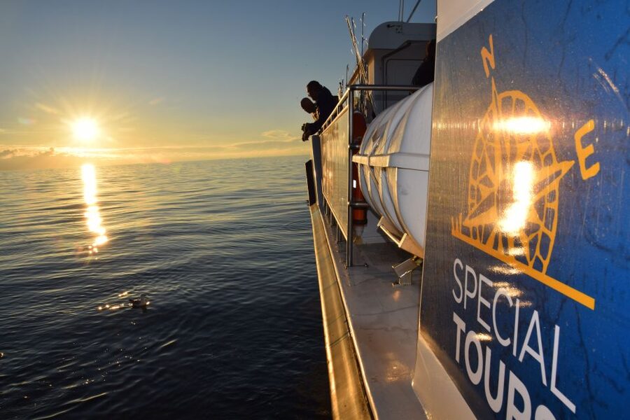 Reykjavik: Sea Fishing Boat Tour & BBQ with the Day's Catch - The onboard barbecue is part of the experience