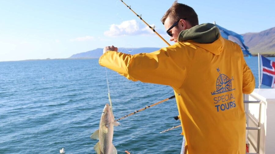 Reykjavik: Sea Fishing Boat Tour & BBQ with the Day's Catch - Weather, waves, and motion sickness