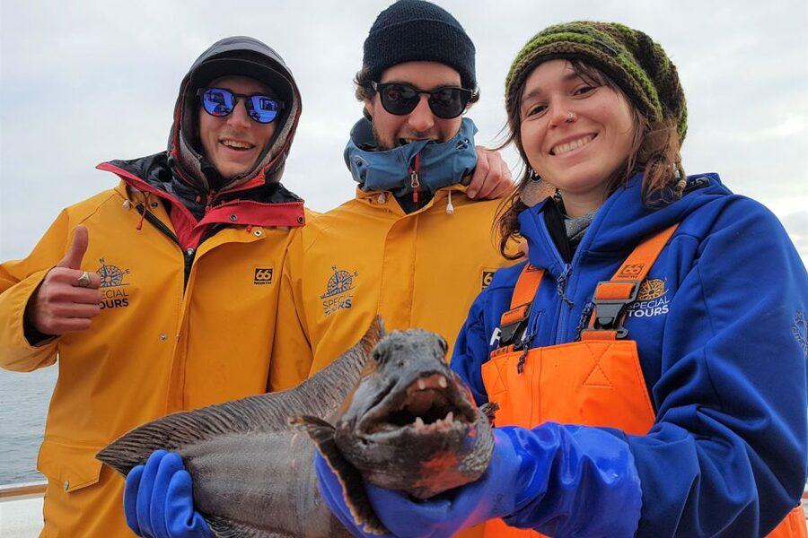 Reykjavik: Sea Fishing Boat Tour & BBQ with the Day's Catch - Is $141 a fair price?