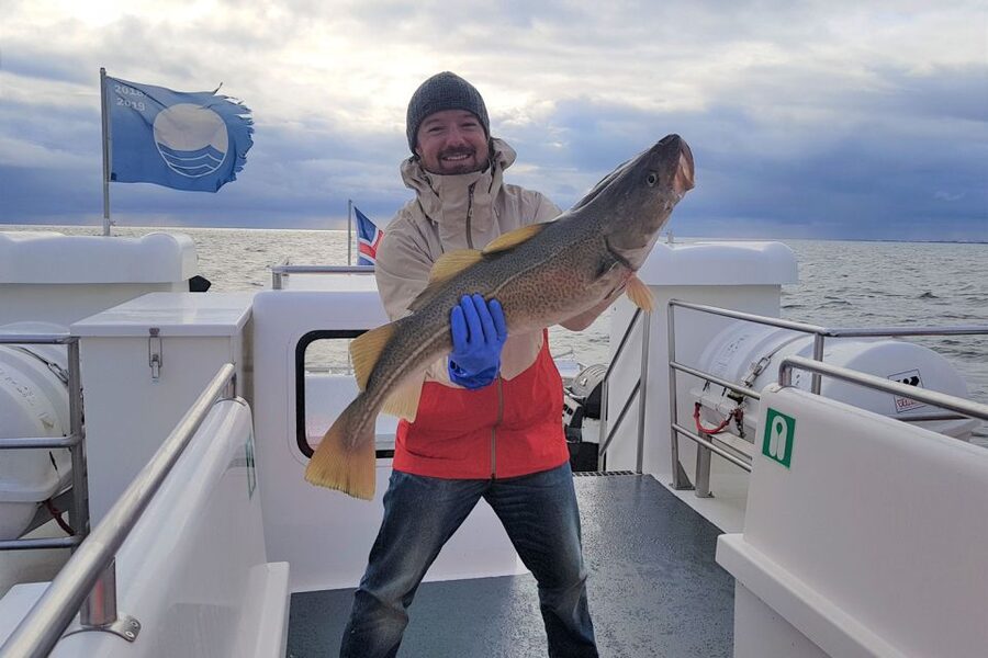 Reykjavik: Sea Fishing Boat Tour & BBQ with the Day's Catch - Should you book it?