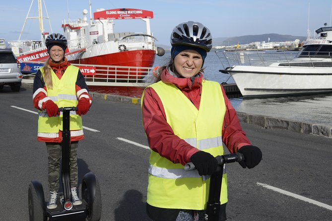 Reykjavik Segway Tour - City Hall and Lake Tjornin slow the pace