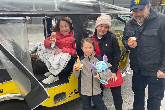 Reykjavík Shared Tuk Tuk Tour - A quick way to get your bearings in Reykjavík