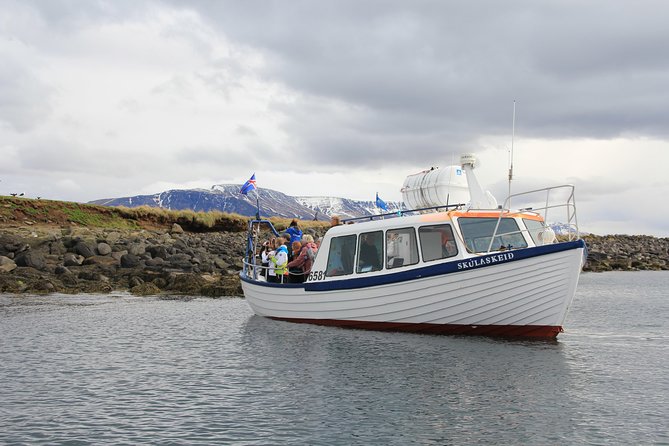 Reykjavik Shore Excursion: Puffin Sightseeing Cruise - Watching puffins around Akurey