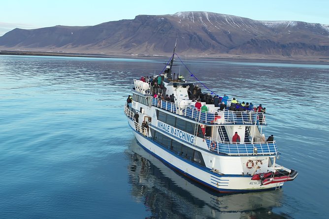 Reykjavik Shore Excursion: Whale-Watching Cruise - The app adds information without adding a guide