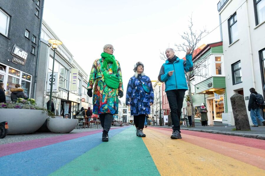 Reykjavik: Sightseeing Walking Tour with a Viking - Key points before you book