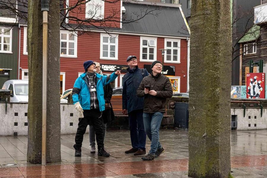 Reykjavik: Sightseeing Walking Tour with a Viking - Tjornin, the city pond
