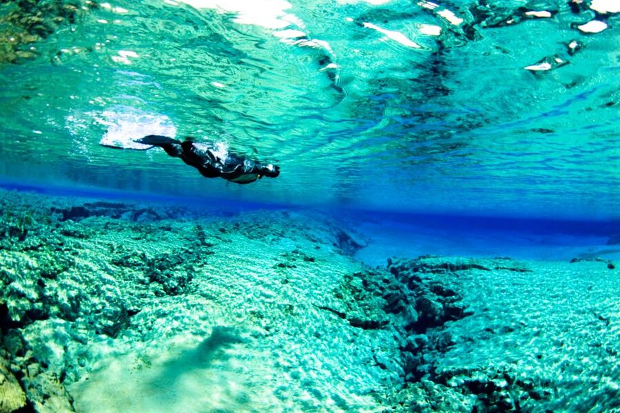 Reykjavík: Silfra Fissure Snorkeling and Lava Caving Tour - Should you book it?