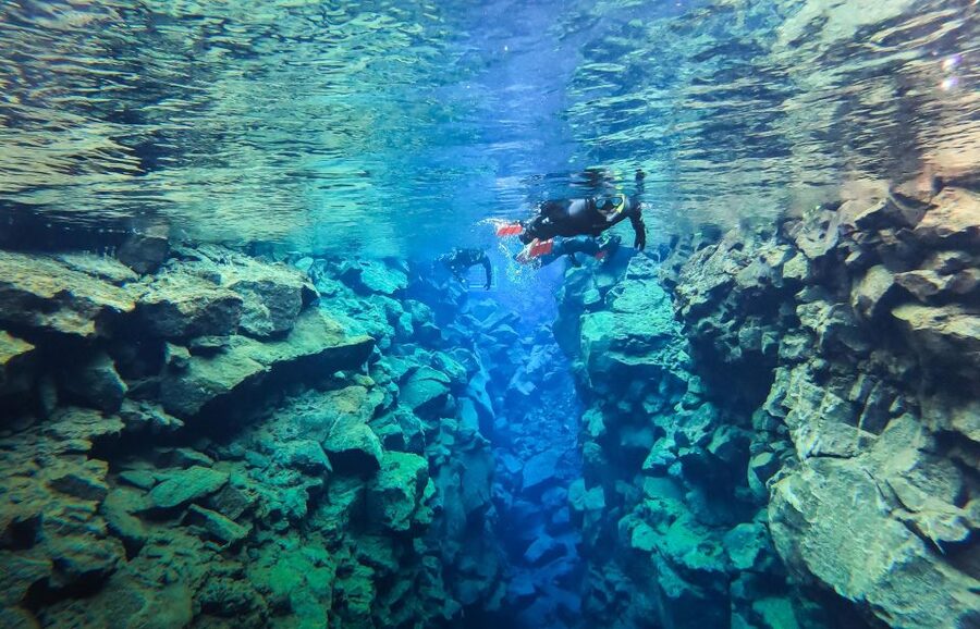 Reykjavík: Silfra Fissure Snorkeling between Two Continents - Photos, hot cocoa, and the return to warmth