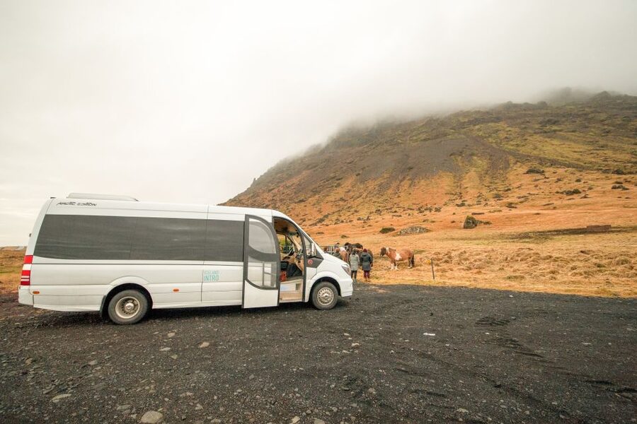Reykjavik: Snaefellsnes & Mt. Kirkjufell Guided Minibus Tour - Arnarstapi and the basalt coast