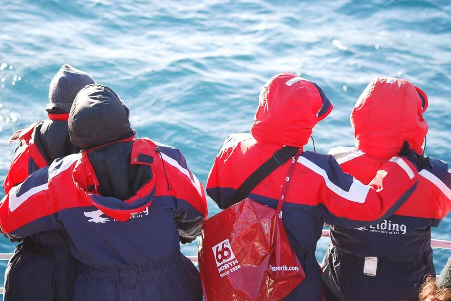 Reykjavik: the Original 3-Hour Whale Watching Tour - How much value do you get for $108?