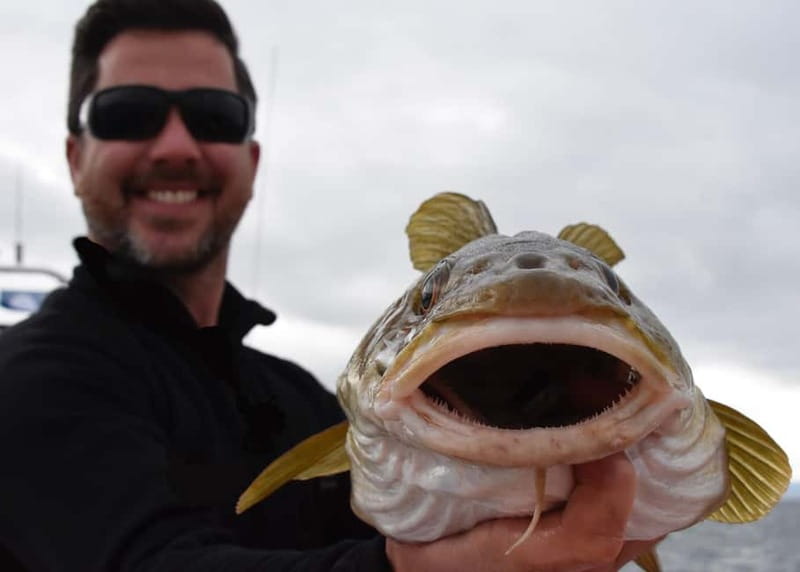 Reykjavik: Traditional Sea Fishing with BBQ Feast - Is the $170 price good value?