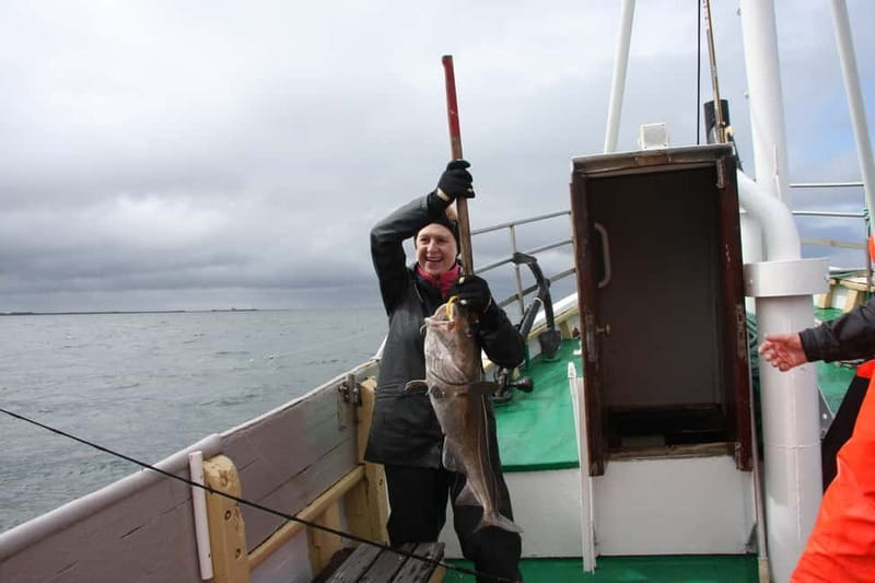 Reykjavik: Traditional Sea Fishing with BBQ Feast - Who will enjoy this Reykjavik fishing trip?