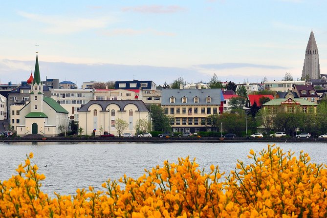 Reykjavik Walking Tour - Walk with a Viking - Lake Tjörnin, a quiet pause in the center
