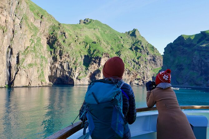 Reykjavik - Westman Islands (Bus transfer to Landeyjahöfn) - What this transfer actually does