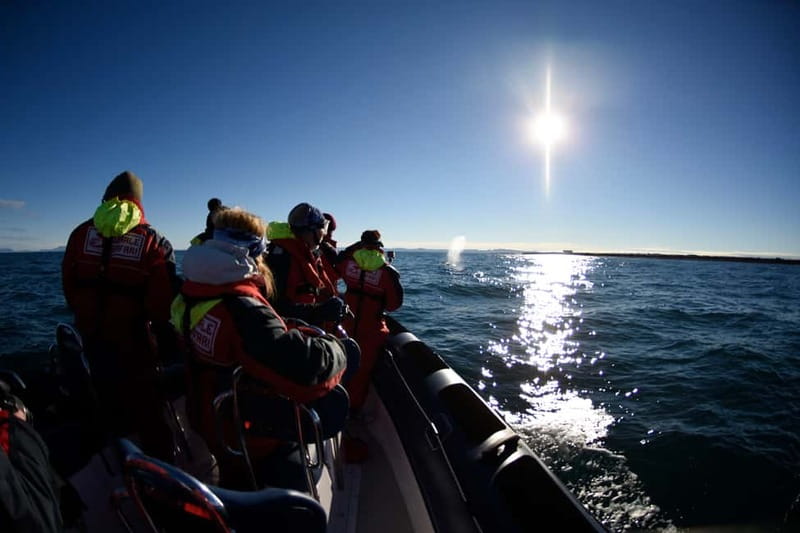 Reykjavik: Whale and Puffin Watching RIB Boat Tour - Warm clothing, wind, and practical comfort