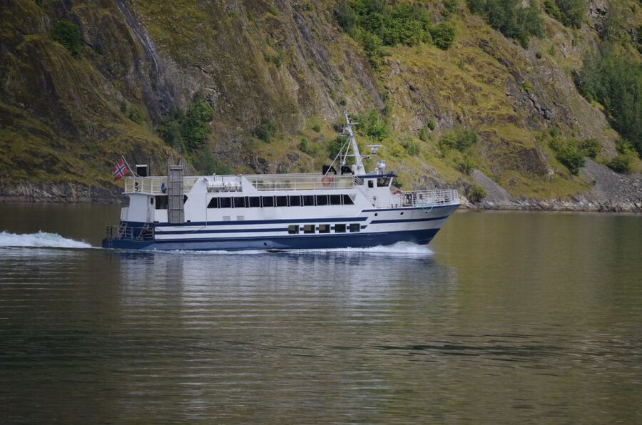 Reykjavik: Whale & Marine Adventure Tour - What you may see in Faxaflói Bay
