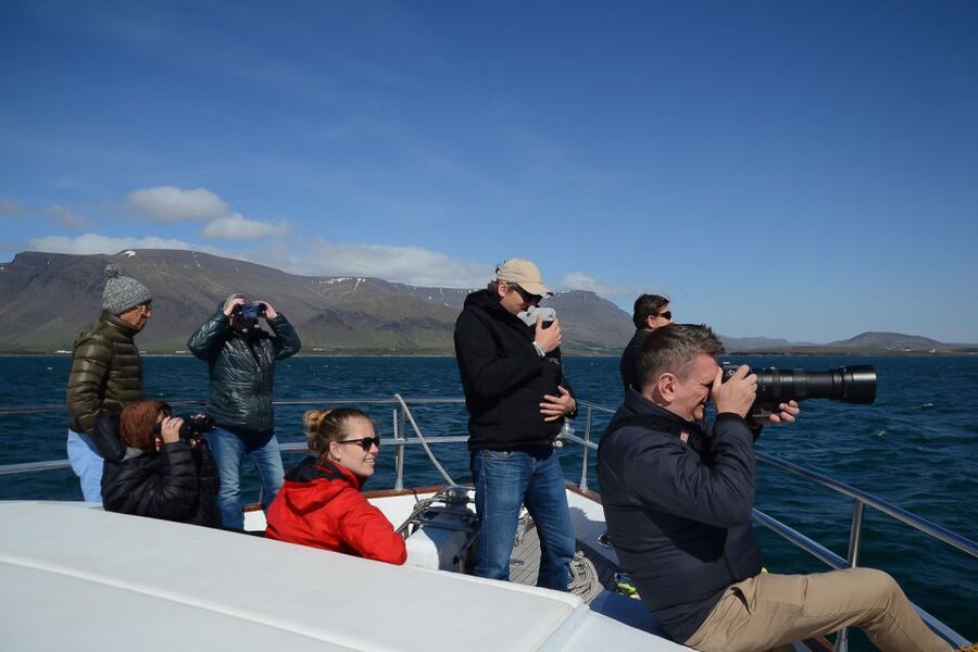 Reykjavik: Whale Watching and Dolphin Watching Yacht Cruise - Who will enjoy this cruise most