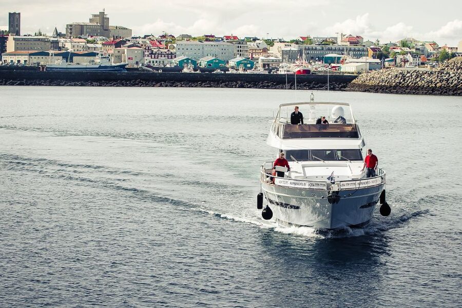 Reykjavik: Whale Watching and Dolphin Watching Yacht Cruise - Choosing between MY Harpa and MY Amelia Rose