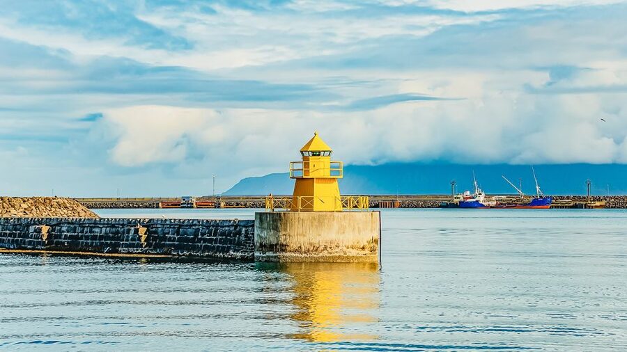 Reykjavík: Whale Watching and Marine Life Cruise - Is $87 a good value?