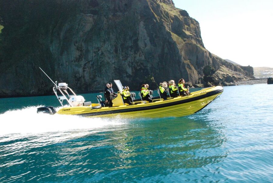 Reykjavik: Whale Watching by RIB Speedboat - Who should book this RIB trip