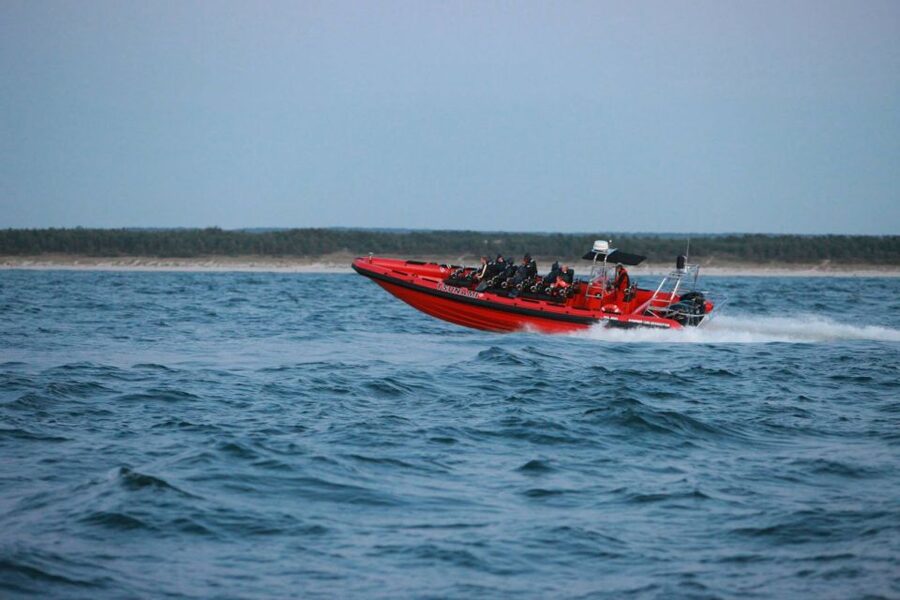 Reykjavik: Whale Watching by RIB Speedboat - Practical preparation before departure