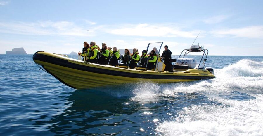 Reykjavik: Whale Watching by RIB Speedboat - Searching among Reykjavík’s islands