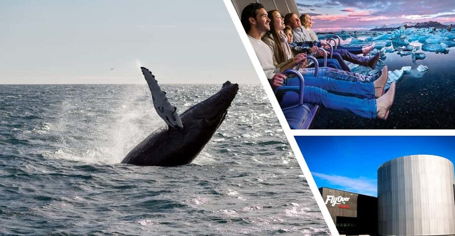 Reykjavík: Whale Watching Cruise and FlyOver Combo Ticket - FlyOver Iceland, from mountains to coastlines