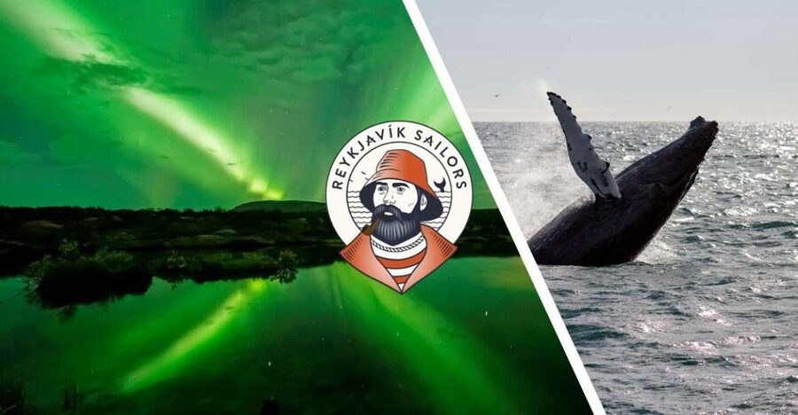 Reykjavik: Whale Watching & Northern Lights Combo Cruise - Whale watching works best when you dress for the sea