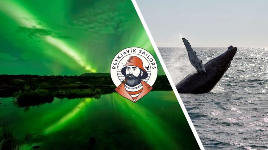 Reykjavik: Whale Watching & Northern Lights Combo Cruise - Setting out across Faxaflói Bay