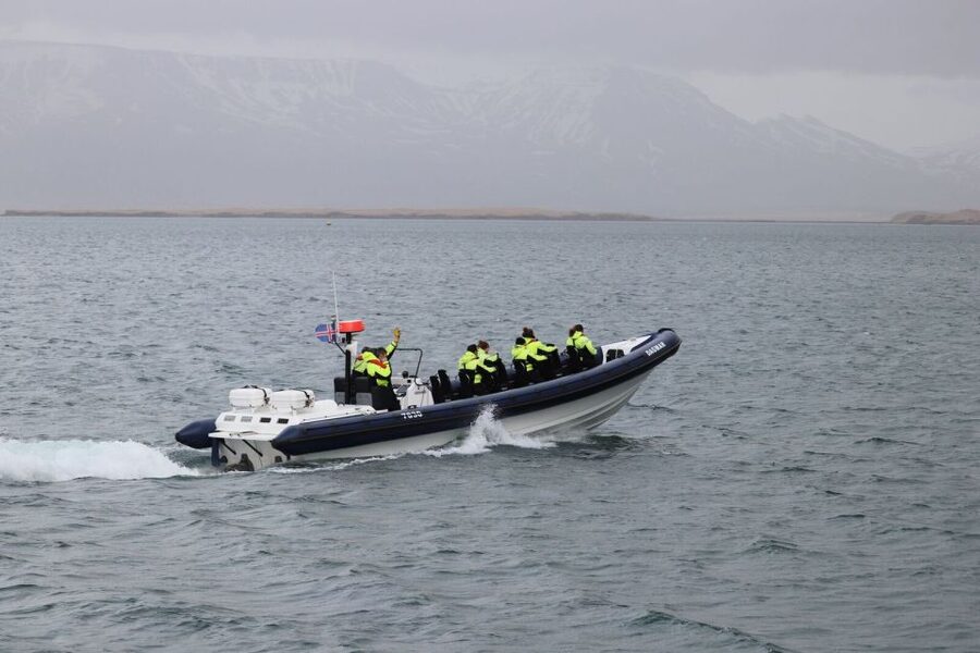 Reykjavik: Whale Watching Tour by RIB Boat - Who should choose this RIB tour?