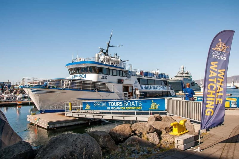 Reykjavik: Whale Watching Tour with Expert Guide - Staying Warm on the Open Water