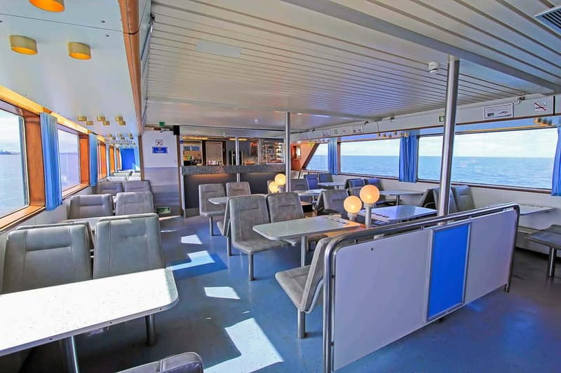 Reykjavik: Whale Watching Tour with Expert Guide - Classic or Express: Which Boat Fits Your Day?