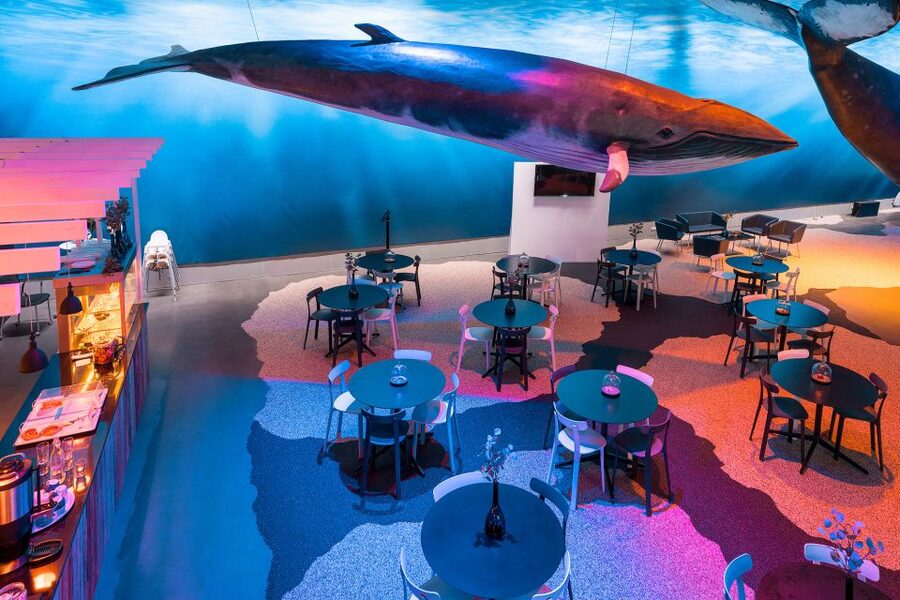 Reykjavik: Whales of Iceland Museum Entrance Ticket - How long should you allow?