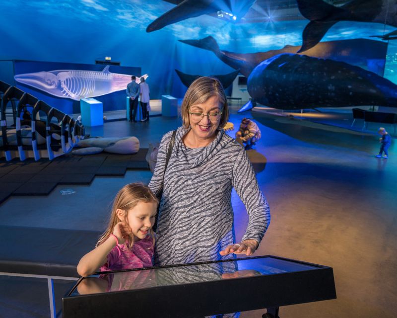 Reykjavik: Whales of Iceland Museum Entrance Ticket - A useful partner to whale watching