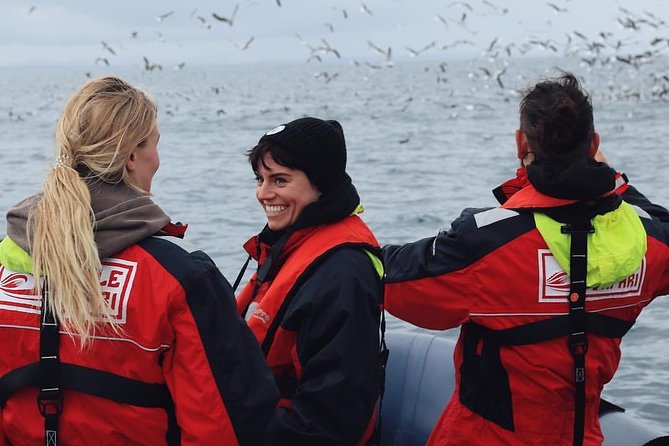 RIB Whale Watching Small-Group Boat Tour from Reykjavik - Why the RIB format changes whale watching
