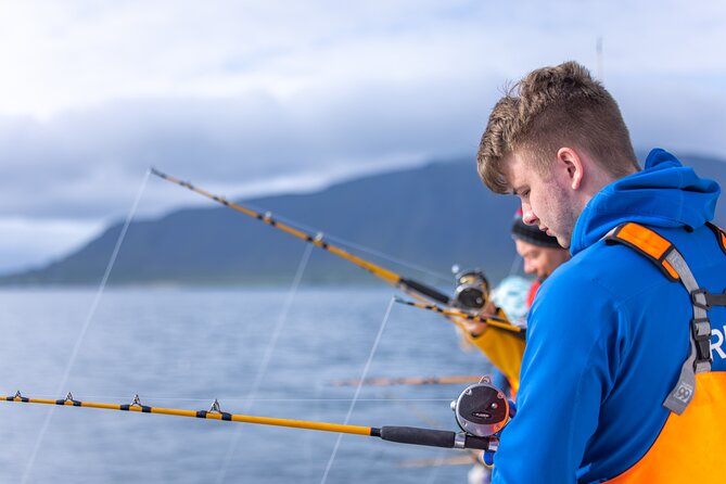Sea Fishing Experience from Reykjavik - Setting out from Geirsgata at 5:00 pm