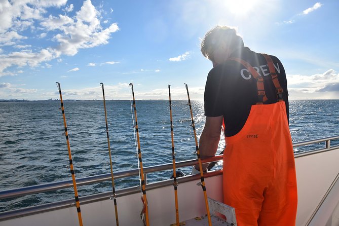 Sea Fishing Experience from Reykjavik - Puffins, whales, and the bonus wildlife