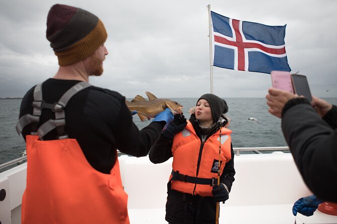 Sea Fishing Experience from Reykjavik - Weather, cancellations, and comfort
